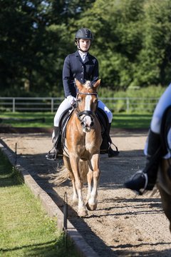 Bild 69 - Pony Akademie Turnier